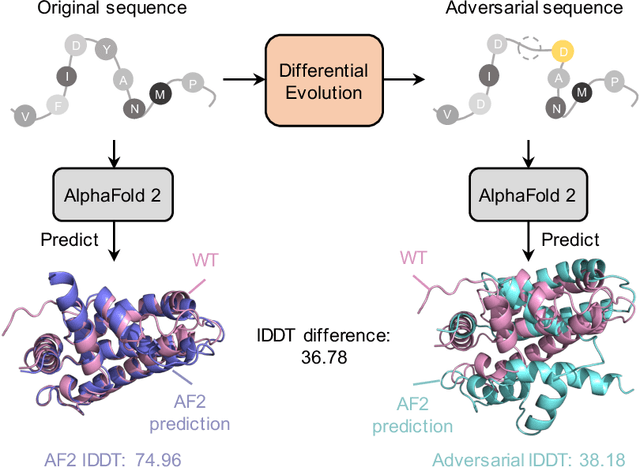 Figure 1 for AF2-Mutation: Adversarial Sequence Mutations against AlphaFold2 on Protein Tertiary Structure Prediction