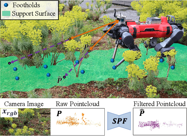 Figure 1 for Seeing Through the Grass: Semantic Pointcloud Filter for Support Surface Learning