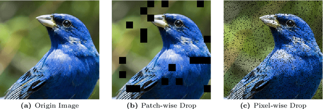 Figure 2 for Understanding Robustness of Visual State Space Models for Image Classification