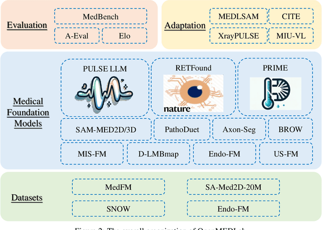 Figure 3 for OpenMEDLab: An Open-source Platform for Multi-modality Foundation Models in Medicine