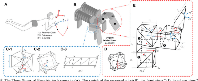Figure 4 for Theoretical Modeling and Bio-inspired Trajectory Optimization of A Multiple-locomotion Origami Robot