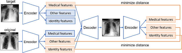 Figure 3 for Anonymizing medical case-based explanations through disentanglement
