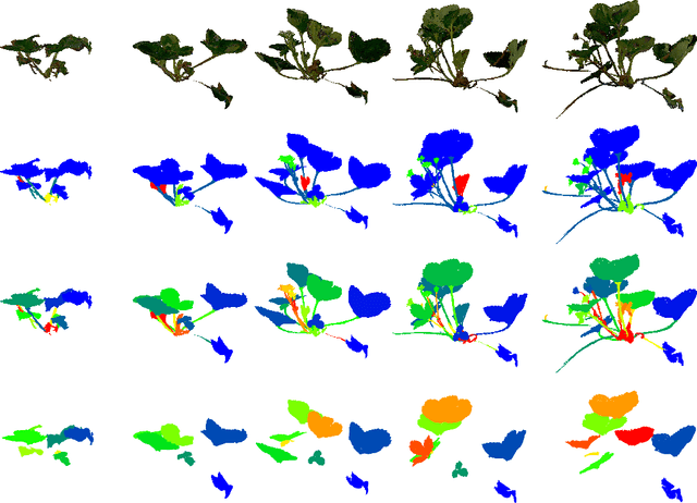 Figure 3 for Lincoln's Annotated Spatio-Temporal Strawberry Dataset (LAST-Straw)