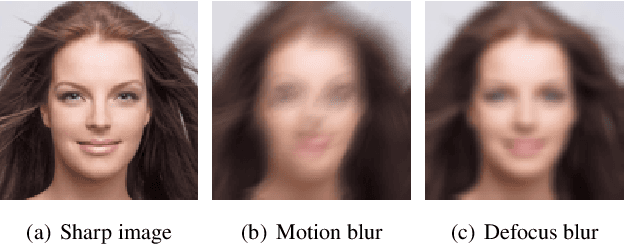 Figure 1 for A survey on facial image deblurring