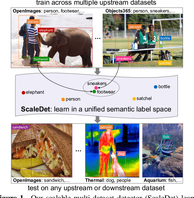 Figure 1 for ScaleDet: A Scalable Multi-Dataset Object Detector