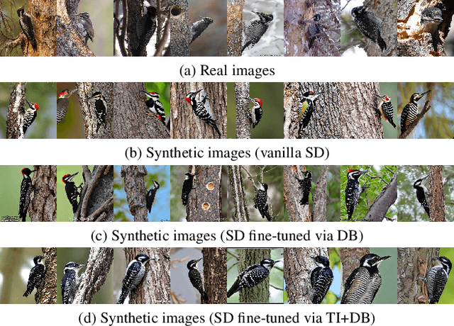 Figure 3 for Enhance Image Classification via Inter-Class Image Mixup with Diffusion Model