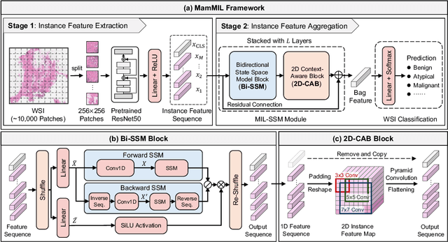 Figure 1 for MamMIL: Multiple Instance Learning for Whole Slide Images with State Space Models