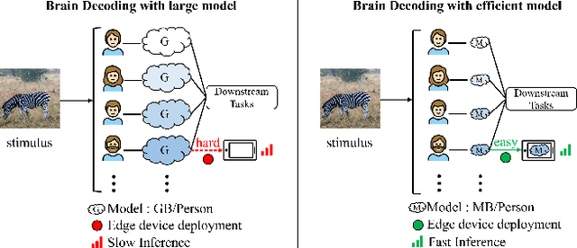 Figure 1 for Lite-Mind: Towards Efficient and Versatile Brain Representation Network