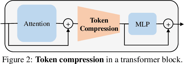 Figure 3 for DiffRate : Differentiable Compression Rate for Efficient Vision Transformers