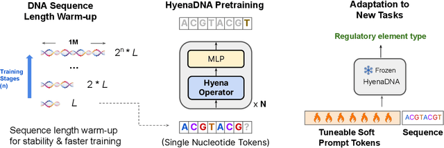 Figure 1 for HyenaDNA: Long-Range Genomic Sequence Modeling at Single Nucleotide Resolution