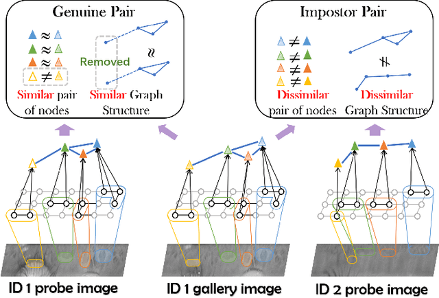 Figure 3 for Multiscale Dynamic Graph Representation for Biometric Recognition with Occlusions