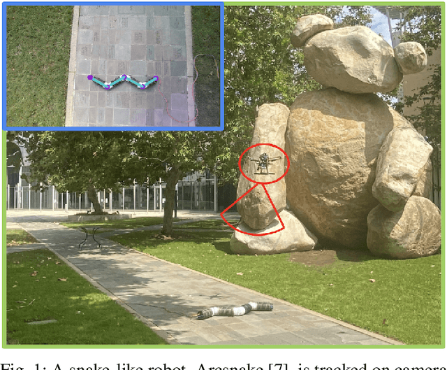 Figure 1 for Tracking Snake-like Robots in the Wild Using Only a Single Camera