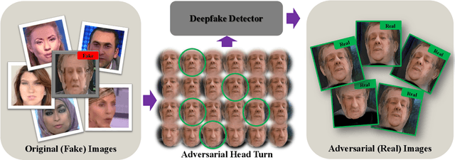 Figure 1 for Turn Fake into Real: Adversarial Head Turn Attacks Against Deepfake Detection