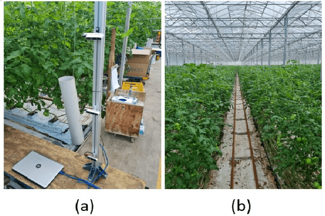 Figure 3 for Visual based Tomato Size Measurement System for an Indoor Farming Environment
