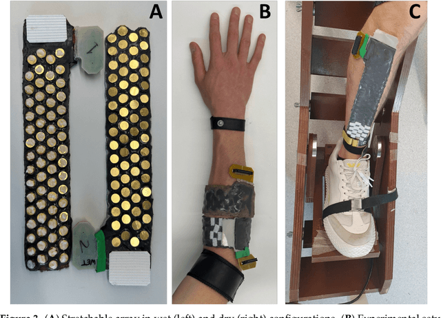 Figure 4 for Design, Fabrication and Evaluation of a Stretchable High-Density Electromyography Array