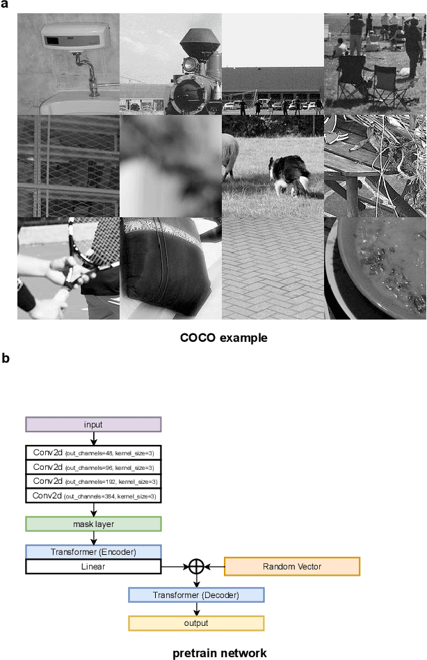 Figure 3 for Learning imaging mechanism directly from optical microscopy observations