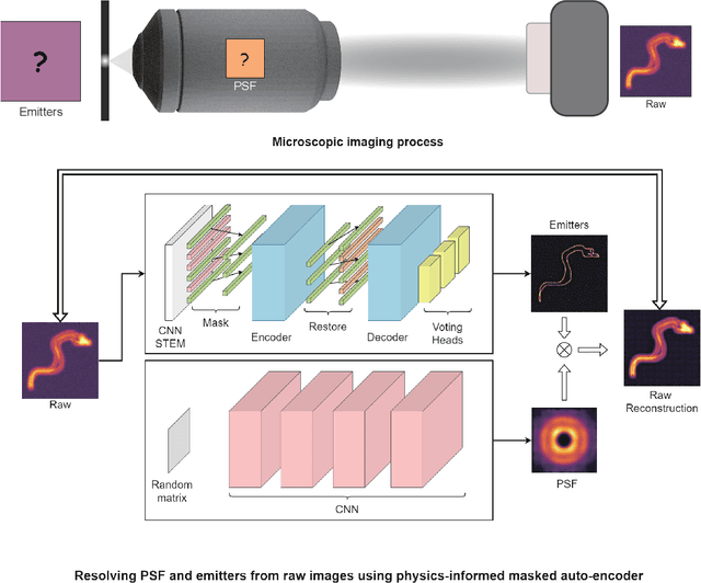 Figure 1 for Learning imaging mechanism directly from optical microscopy observations