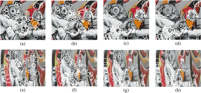 Figure 4 for Second-order Anisotropic Gaussian Directional Derivative Filters for Blob Detection
