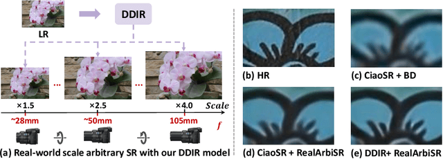 Figure 1 for Learning Dual-Level Deformable Implicit Representation for Real-World Scale Arbitrary Super-Resolution