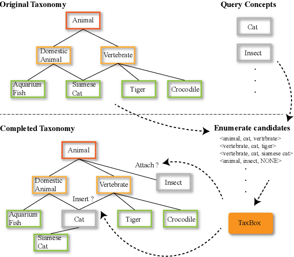 Figure 1 for Taxonomy Completion with Probabilistic Scorer via Box Embedding