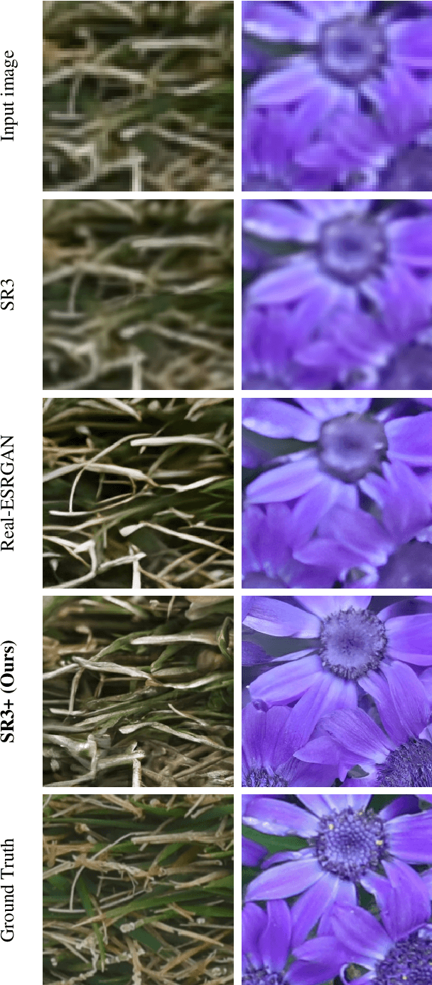 Figure 1 for Denoising Diffusion Probabilistic Models for Robust Image Super-Resolution in the Wild