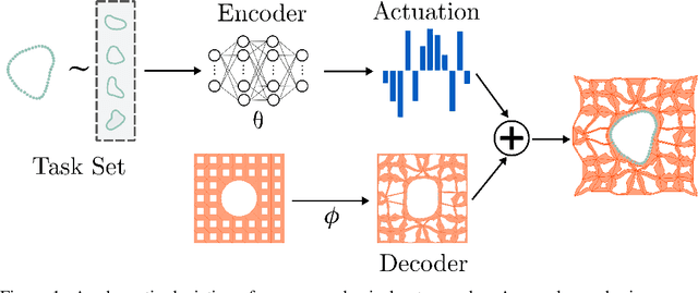 Figure 1 for Neuromechanical Autoencoders: Learning to Couple Elastic and Neural Network Nonlinearity