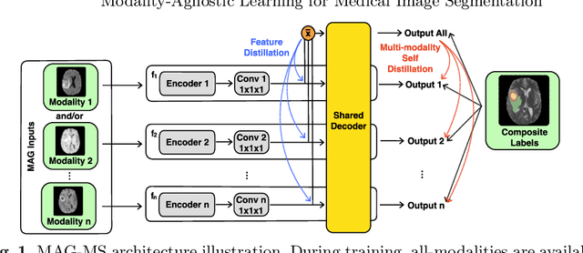 Figure 1 for Modality-Agnostic Learning for Medical Image Segmentation Using Multi-modality Self-distillation