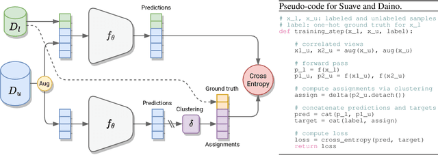 Figure 3 for Semi-supervised learning made simple with self-supervised clustering