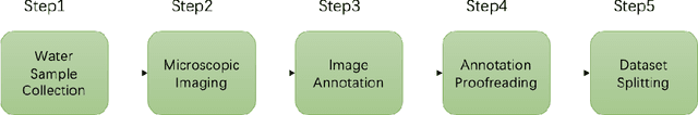 Figure 1 for Marine Microalgae Detection in Microscopy Images: A New Dataset
