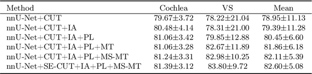 Figure 4 for MS-MT: Multi-Scale Mean Teacher with Contrastive Unpaired Translation for Cross-Modality Vestibular Schwannoma and Cochlea Segmentation