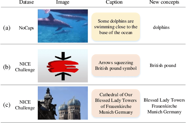 Figure 1 for The Solution for the CVPR2023 NICE Image Captioning Challenge