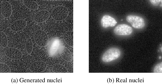 Figure 1 for Focus on Content not Noise: Improving Image Generation for Nuclei Segmentation by Suppressing Steganography in CycleGAN