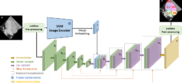 Figure 1 for nnSAM: Plug-and-play Segment Anything Model Improves nnUNet Performance