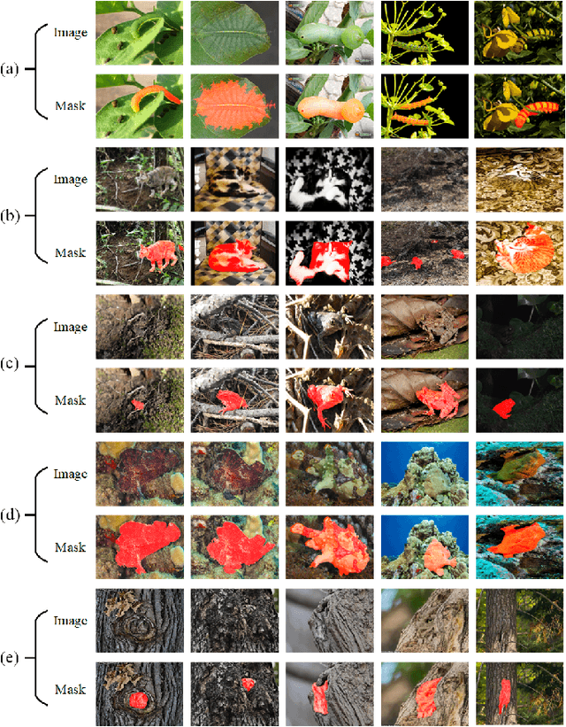Figure 1 for Collaborative Camouflaged Object Detection: A Large-Scale Dataset and Benchmark