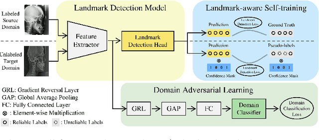 Figure 3 for Unsupervised Domain Adaptation for Anatomical Landmark Detection