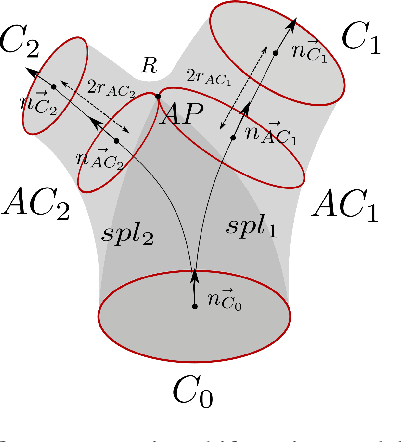 Figure 3 for Modeling and hexahedral meshing of arterial networks from centerlines