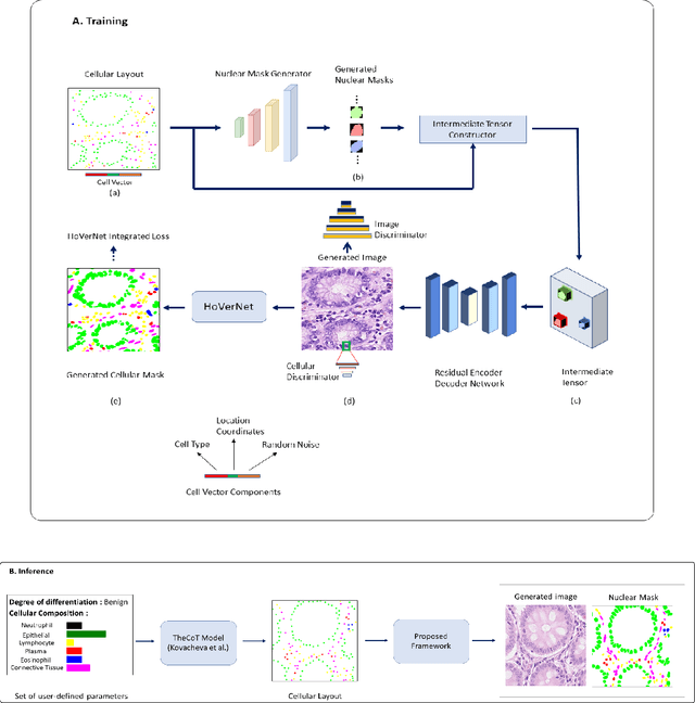 Figure 1 for SynCLay: Interactive Synthesis of Histology Images from Bespoke Cellular Layouts