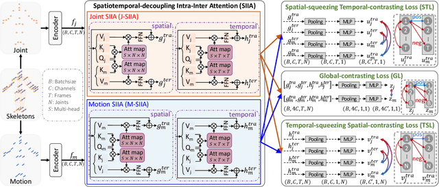 Figure 2 for Spatiotemporal Decouple-and-Squeeze Contrastive Learning for Semi-Supervised Skeleton-based Action Recognition