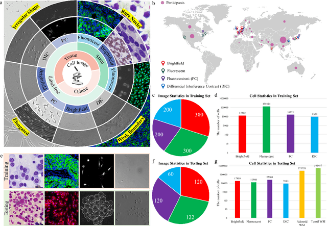 Figure 3 for The Multi-modality Cell Segmentation Challenge: Towards Universal Solutions