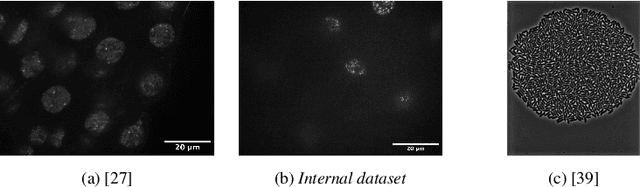 Figure 4 for AI-based automated active learning for discovery of hidden dynamic processes: A use case in light microscopy