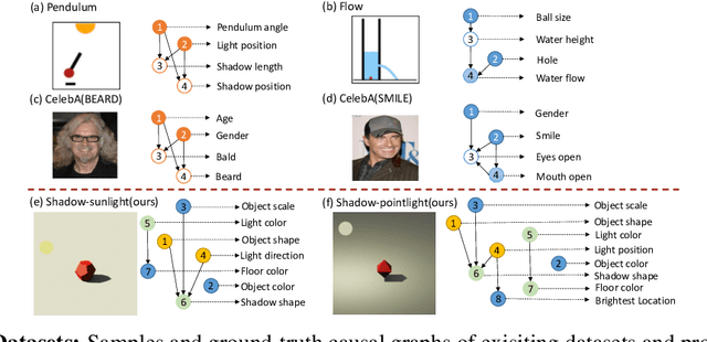 Figure 1 for Shadow Datasets, New challenging datasets for Causal Representation Learning