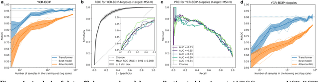 Figure 4 for Fully transformer-based biomarker prediction from colorectal cancer histology: a large-scale multicentric study