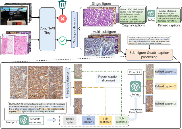 Figure 1 for PathAsst: Redefining Pathology through Generative Foundation AI Assistant for Pathology