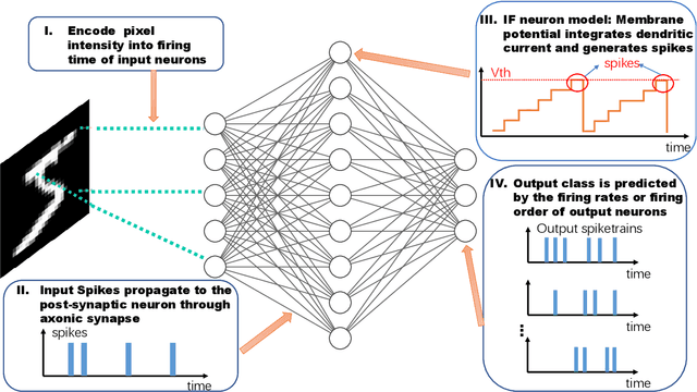 Figure 1 for PC-SNN: Supervised Learning with Local Hebbian Synaptic Plasticity based on Predictive Coding in Spiking Neural Networks