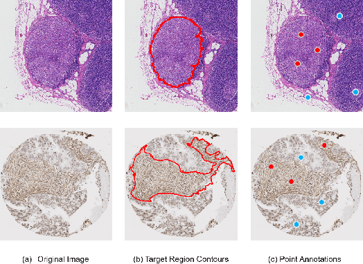 Figure 1 for Weakly supervised segmentation with point annotations for histopathology images via contrast-based variational model