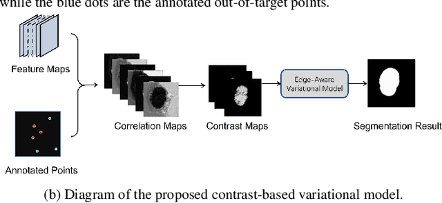 Figure 3 for Weakly supervised segmentation with point annotations for histopathology images via contrast-based variational model
