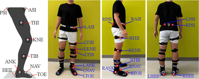 Figure 2 for Biomechanical Comparison of Human Walking Locomotion on Solid Ground and Sand