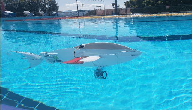Figure 1 for Snapp: An Agile Robotic Fish with 3-D Maneuverability for Open Water Swim