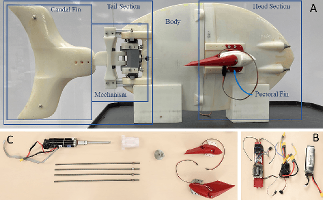 Figure 3 for Snapp: An Agile Robotic Fish with 3-D Maneuverability for Open Water Swim