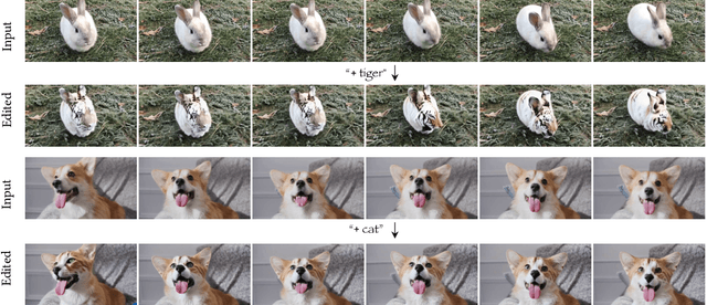 Figure 4 for MagicEdit: High-Fidelity and Temporally Coherent Video Editing